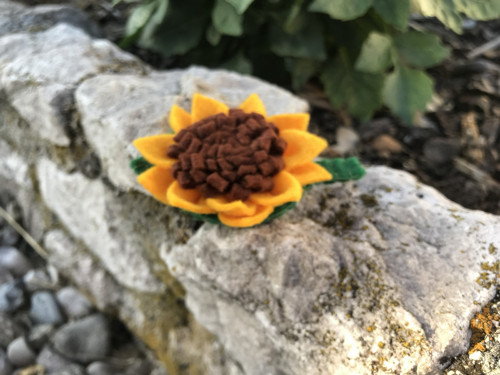 Brož - slunečnice — foto 2