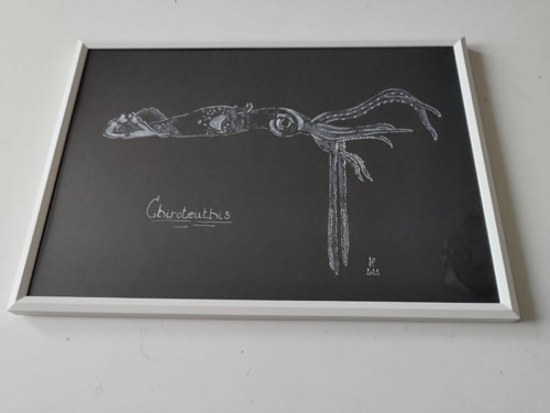 Obraz - Chiroteuthis - pastel/fix — foto 2