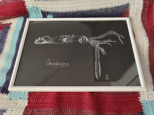 Obraz - Chiroteuthis - pastel/fix — foto 4
