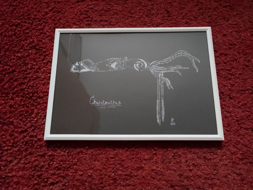 Obraz - Chiroteuthis - pastel/fix — foto 3