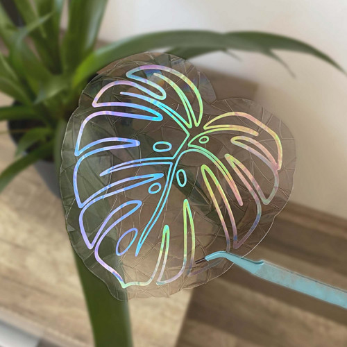 Suncatcher - Monstera — foto 2