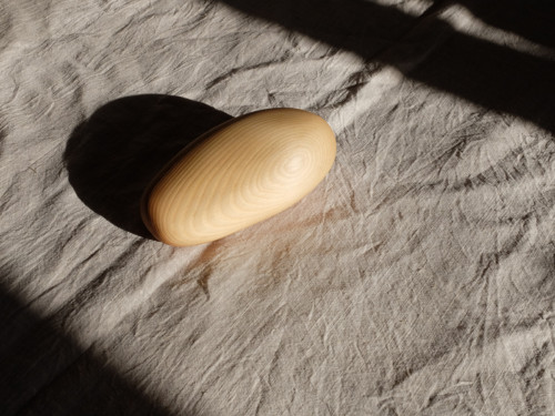 Mazi člunozobci — foto 3