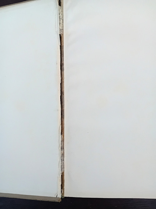 Speisezimmer — foto 2