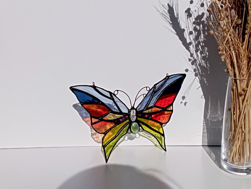 Rainbow butterfly — foto 3