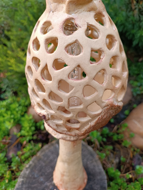 Lampa P — foto 5