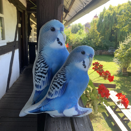 Andulka modrá - menší - polštář 3D — foto 3