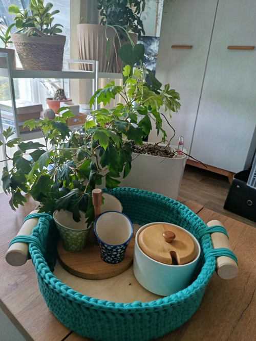 Podnos s úchyty — foto 2