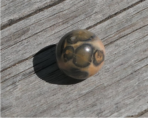 Kulička - jaspis leopardí 10 mm V1463 — foto 2