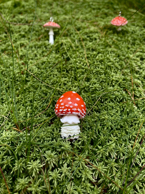 Fly Agaric "baby" — foto 3