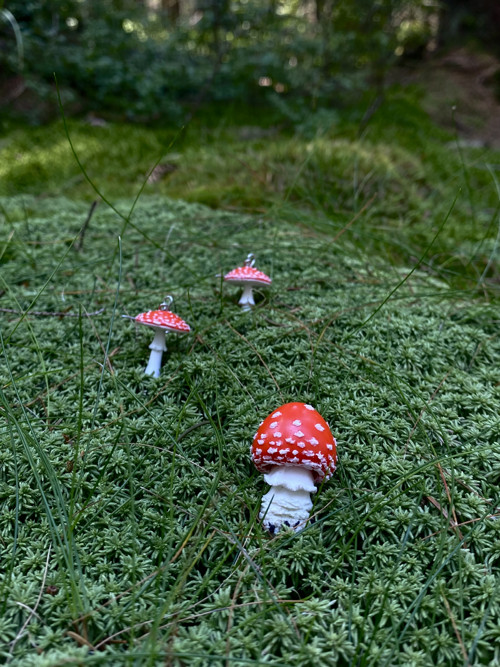 Fly Agaric "baby" — foto 5