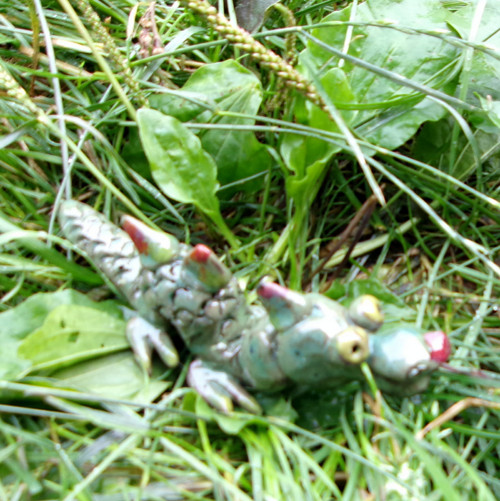 Drak — foto 2