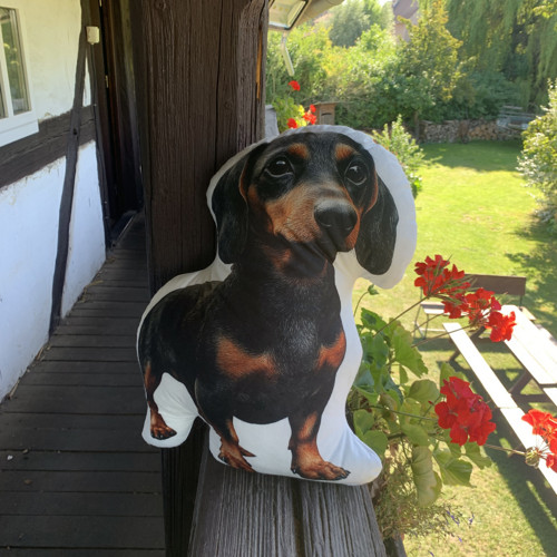 Jezevčík - 3D polštář — foto 3