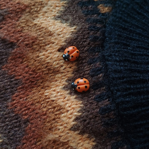 Mini brož - beruška — foto 3