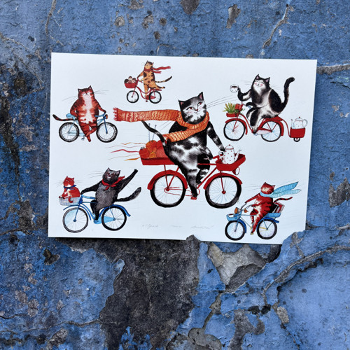 Cyklisti — foto 3