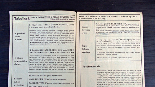 Rádce — foto 2