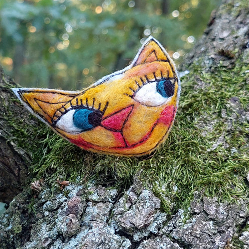 Kočka divoká — foto 2