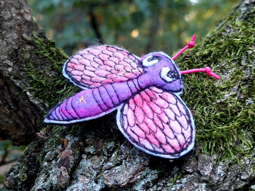 Butterfly — foto 4