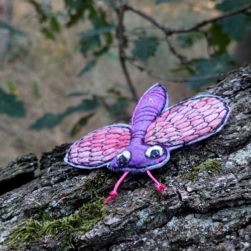 Butterfly — foto 5