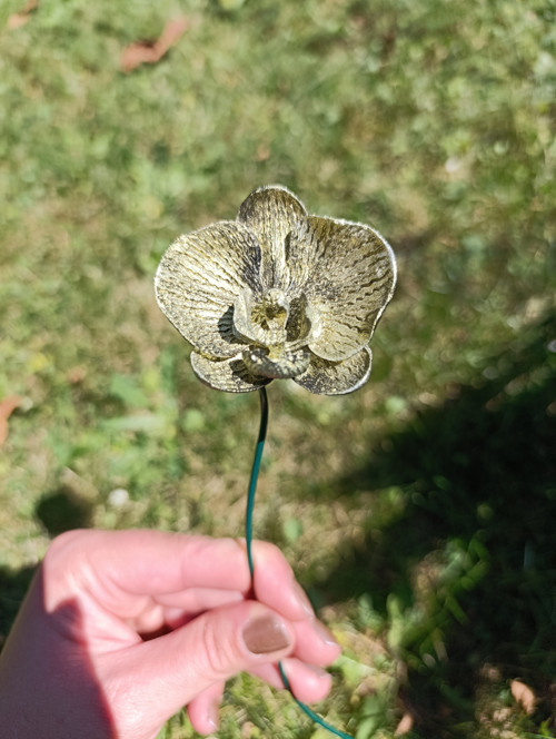 Květ na drátu 3. — foto 3