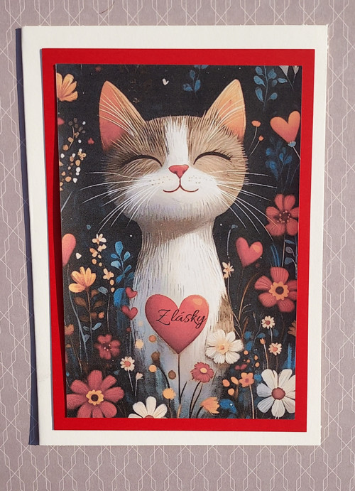 Kočičkové přání z lásky — foto 2
