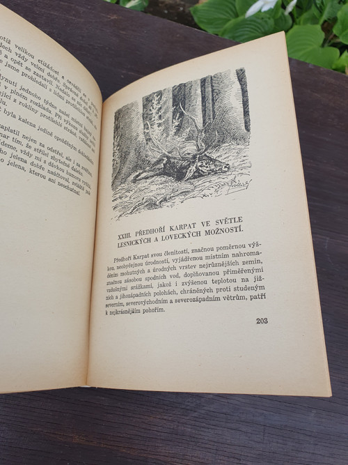 Naše lesy a lovy — foto 4