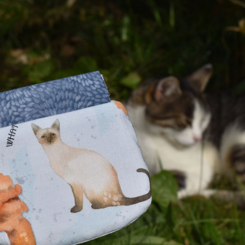 Mini mincovka - Kočičí — foto 2