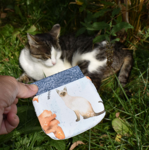 Mini mincovka - Kočičí — foto 3