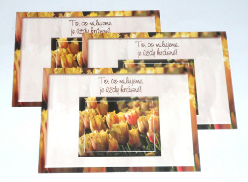 Čistá POHLEDNICE přání, květiny, text — foto 3
