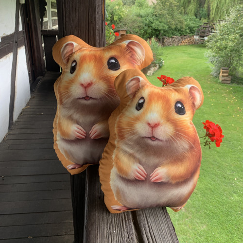Křeček větší - 3D polštář — foto 2