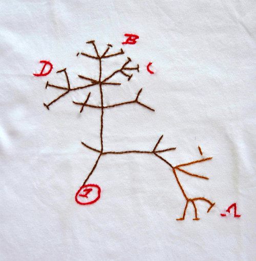 Dětské tričko „Darwin“ – bílé, 134/140 — foto 2