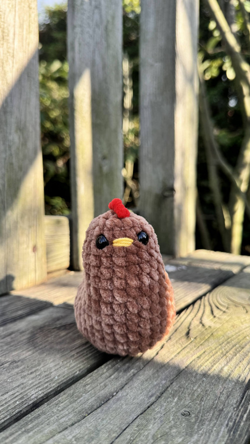 Slepička hnědá mini — foto 2