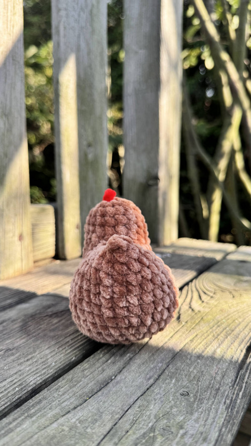 Slepička hnědá mini — foto 4