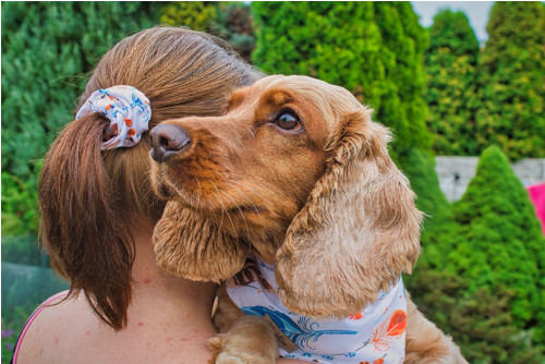 Scrunchie gumička - Křídla radosti — foto 4