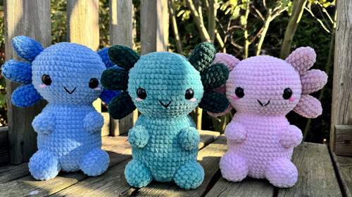 Axolotl — foto 4