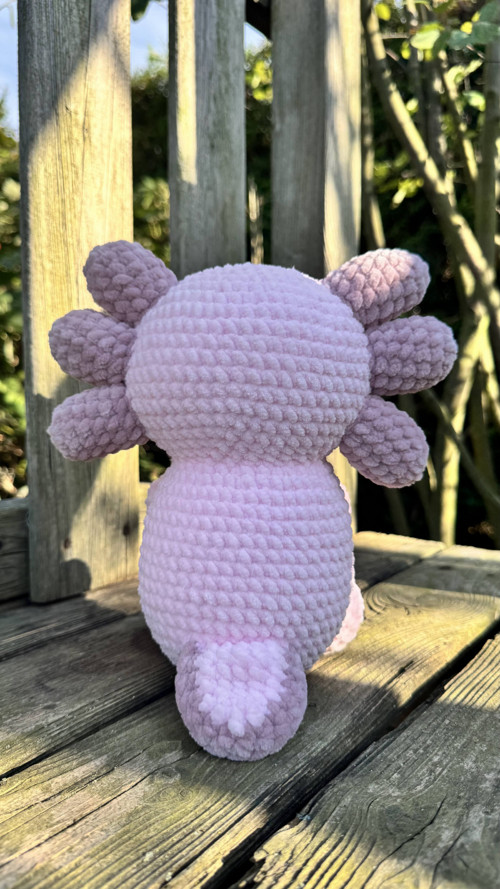 Axolotl — foto 3