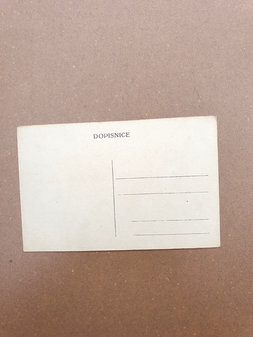 Dub — foto 2