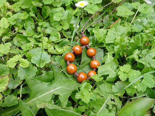 Uzlíkový II — foto 5