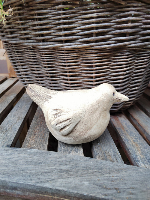 Ptáček — foto 3