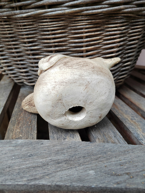 Ptáček — foto 2