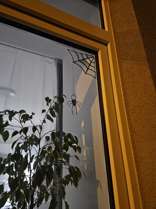 Pavoučí elegance ve skle — foto 4