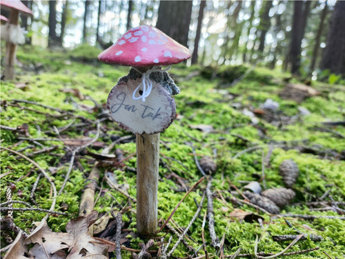 .....to je úroda..... — foto 3