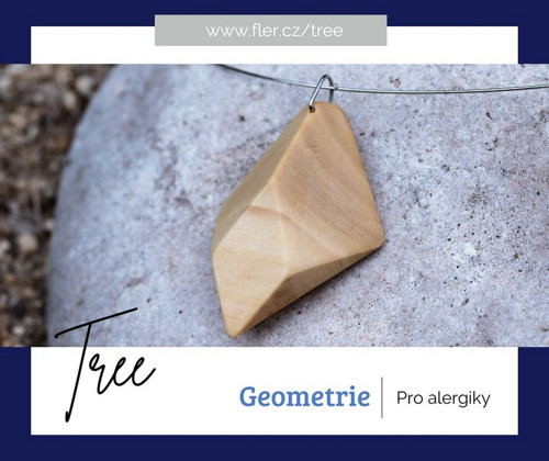 Geometrie — foto 6
