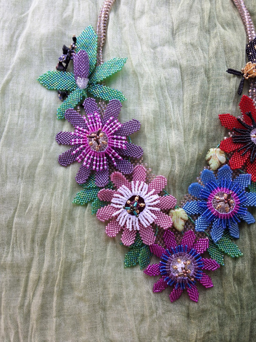 Passiflora - barevné mučenky — foto 3