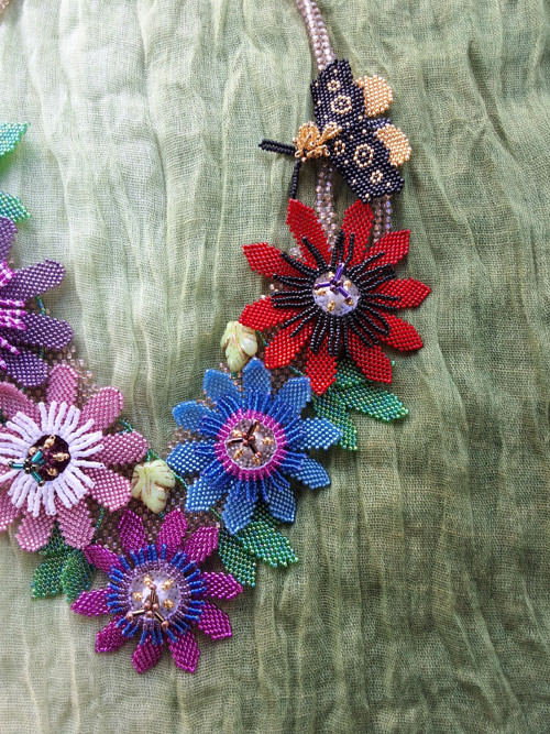 Passiflora - barevné mučenky — foto 4