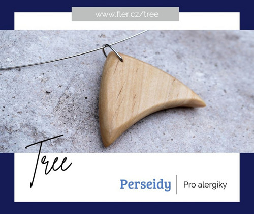 Perseidy — foto 5