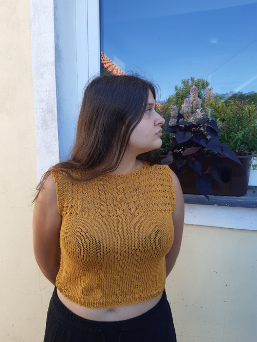 Top — foto 3