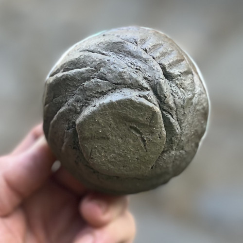 Raku Keramika — foto 5