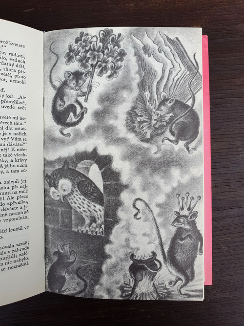 Flétnové hodiny — foto 3