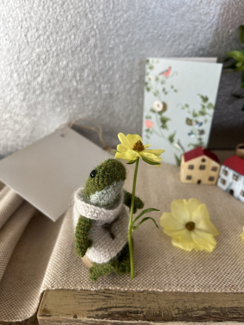 Háčkovaná žabka — foto 3