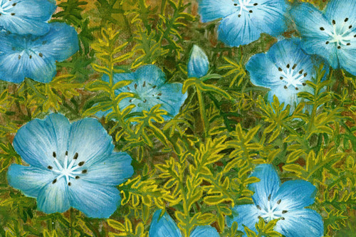 Nemophila Blue Artprint — foto 5